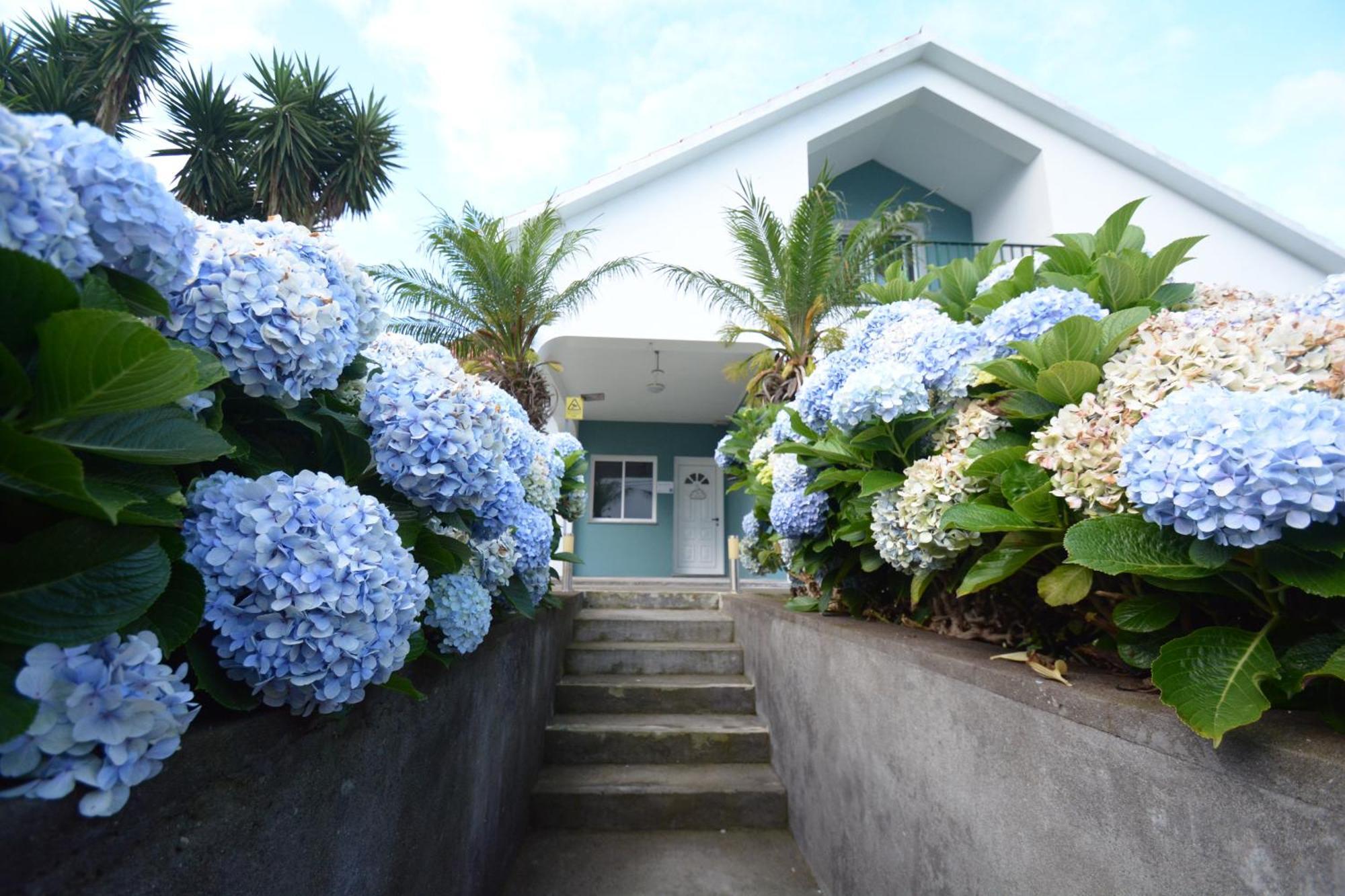 Casinha Das Hortensias Apartment Horta  Exterior photo