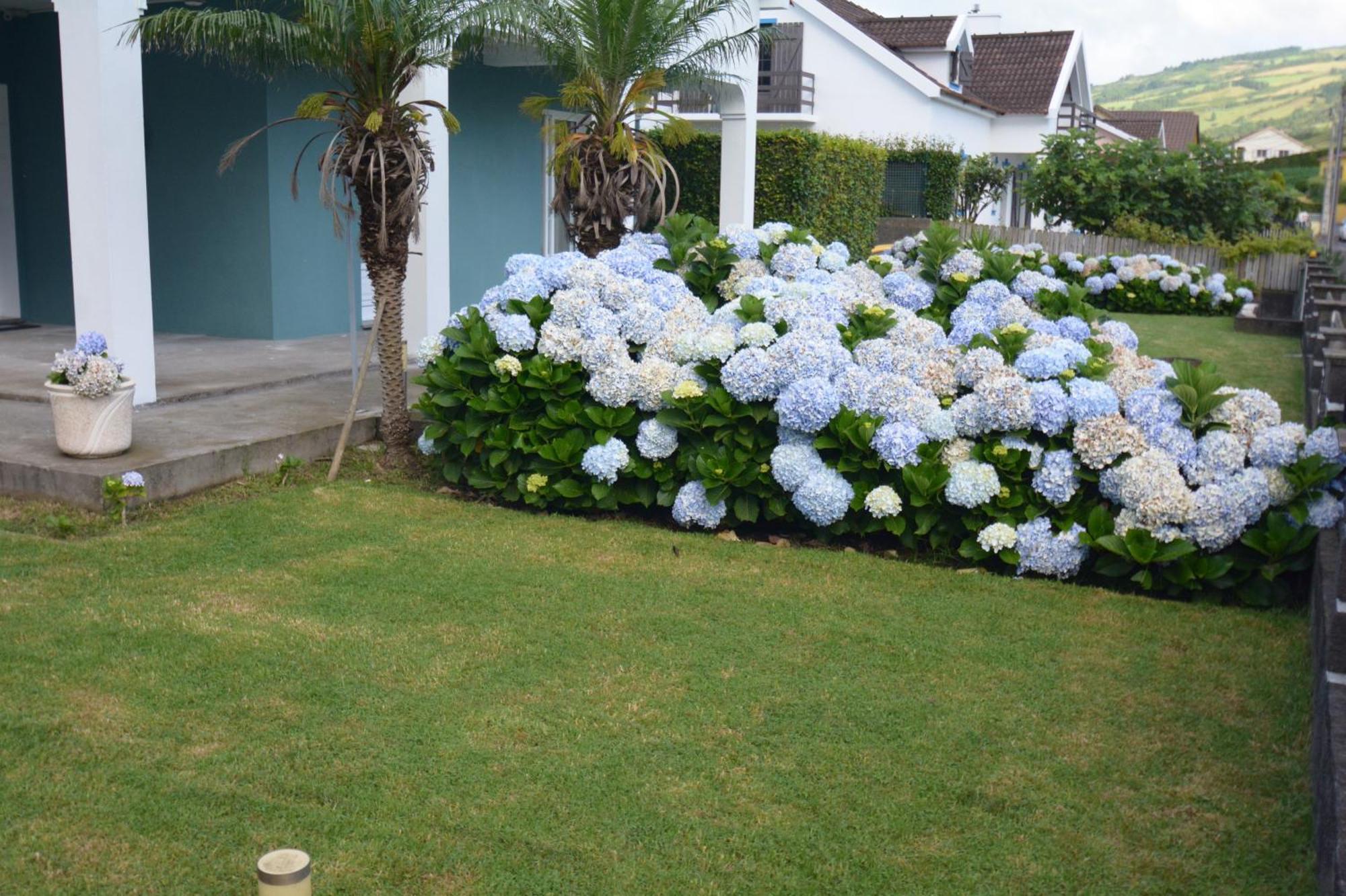 Casinha Das Hortensias Apartment Horta  Exterior photo